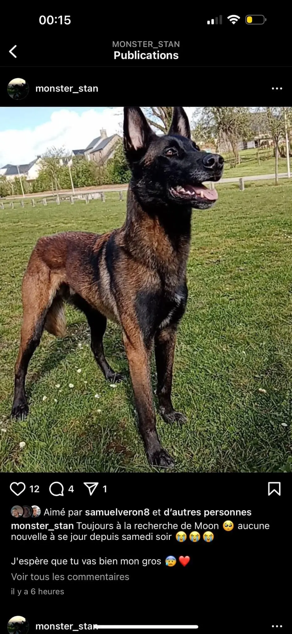 Chien Perdu 50 Manche - Moon Chien Perdu 50 Manche - Moon