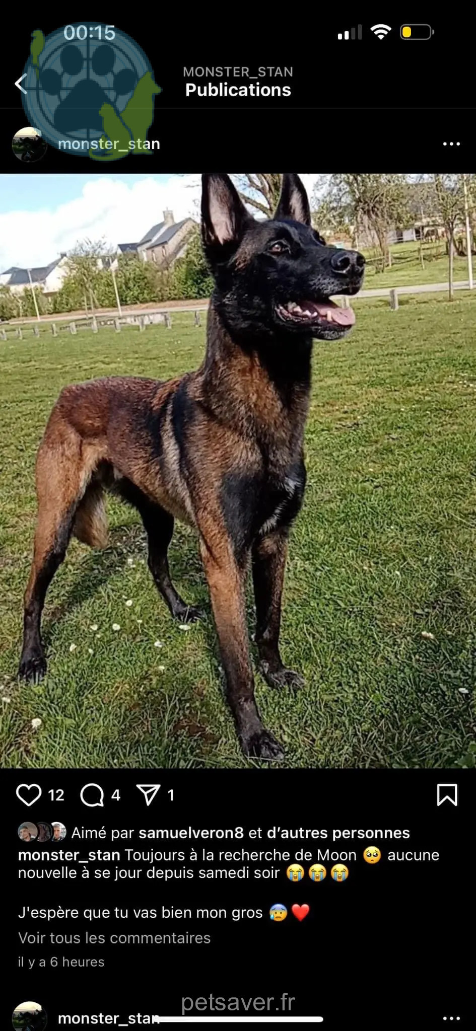 Chien Perdu 50 Manche - Moon Chien Perdu 50 Manche - Moon