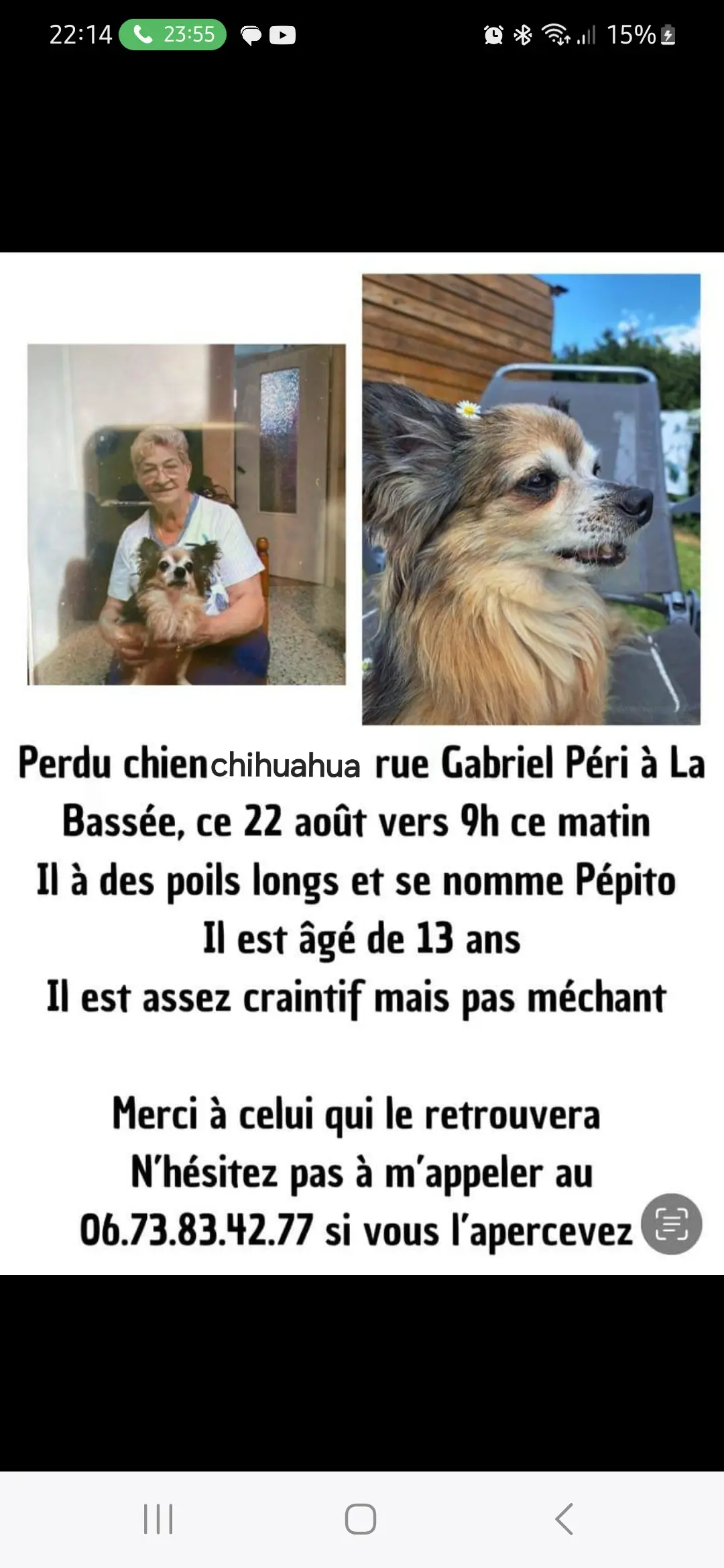 Chien Perdu 59 Nord - Pepito Chien Perdu 59 Nord - Pepito