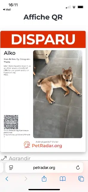 chien lost   60530 Crouy-en-Thelle Aïko