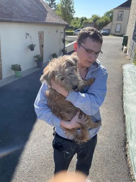 chien lost   61000 Alençon Zoom