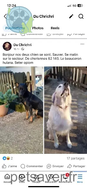 Hund vermisst 62140 Chériennes Opiuon et ulanna Hund lost 62140 Chériennes Opiuon et ulanna