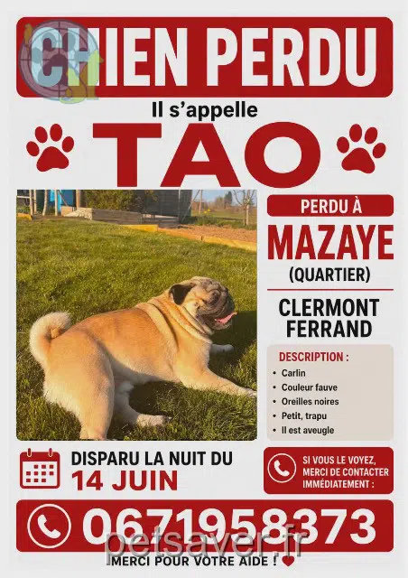 dog lost   63230 Mazayes Tao