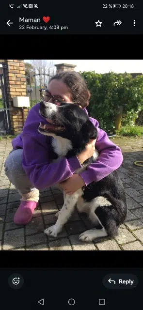 chien lost   64160 Gabaston Pongo