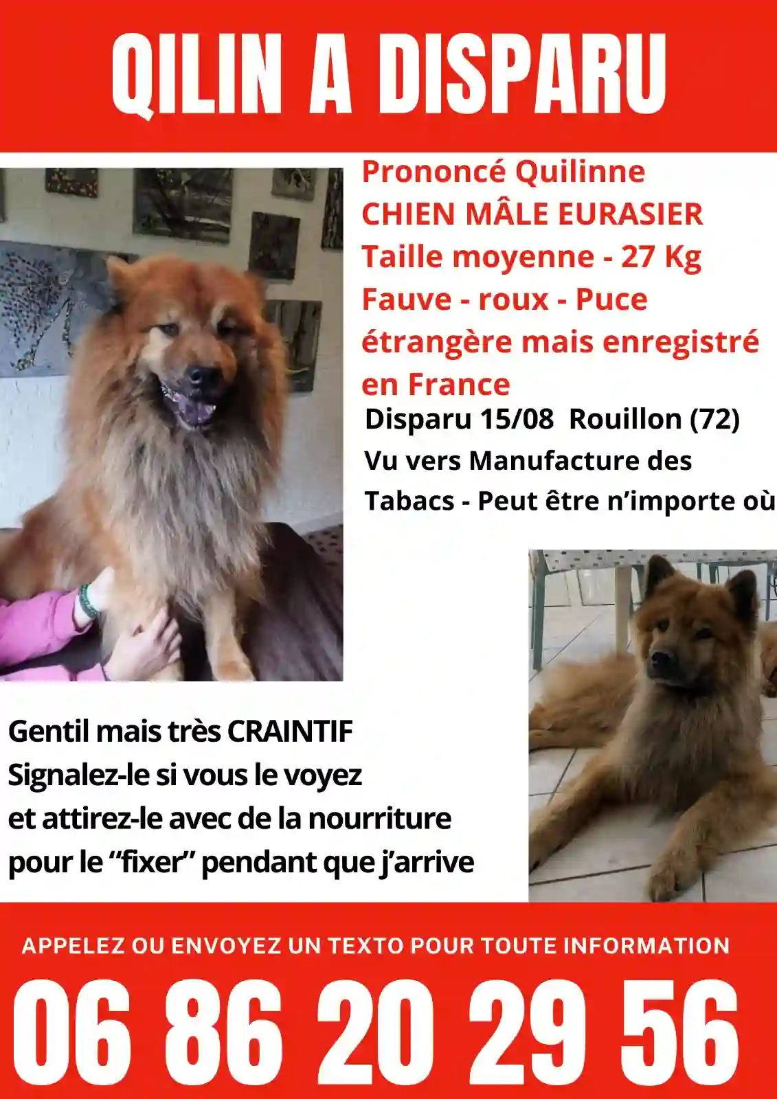 Chien Perdu 72 Sarthe Le Mans - Qilin Chien Perdu 72 Sarthe Le Mans - Qilin