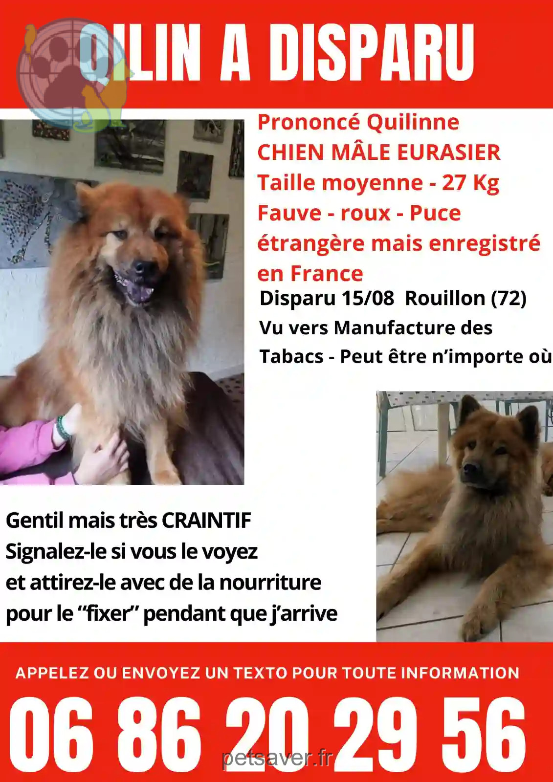 Chien Perdu 72 Sarthe Le Mans - Qilin Chien Perdu 72 Sarthe Le Mans - Qilin