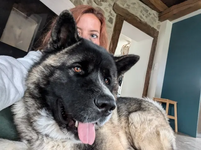 dog lost   74540 Chapeiry Urus