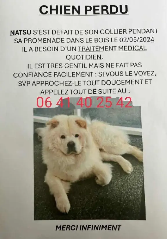 Chien Perdu 75C Paris - Natsu Chien Perdu 75C Paris - Natsu