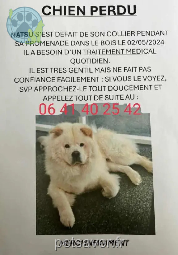 Chien Perdu 75C Paris - Natsu Chien Perdu 75C Paris - Natsu