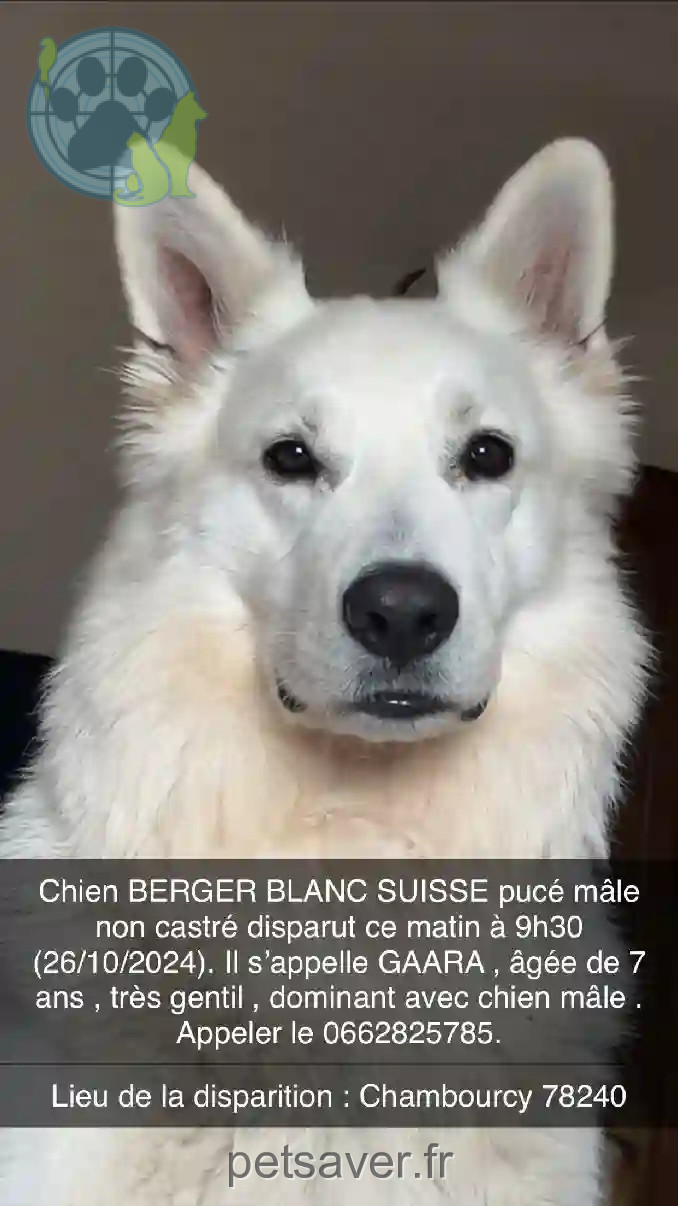 Chien Perdu 78 Yvelines - Gaara Chien Perdu 78 Yvelines - Gaara