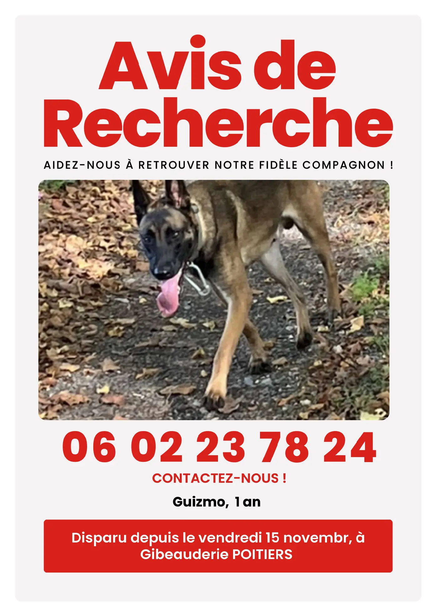 Chien Perdu 86 Vienne Poitiers Chien Perdu 86 Vienne Poitiers