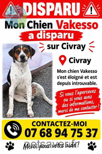 cão lost 86400 Civray Vakesso