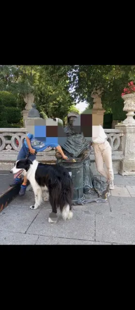 chien lost   87200 Saint-Brice-sur-Vienne Pongo