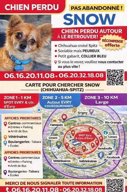 chien lost    Évry-Courcouronnes Snow