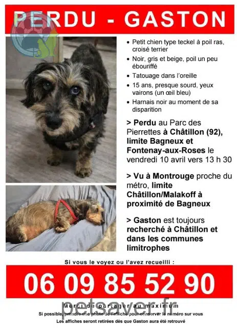 cane lost   92320 Châtillon Gaston