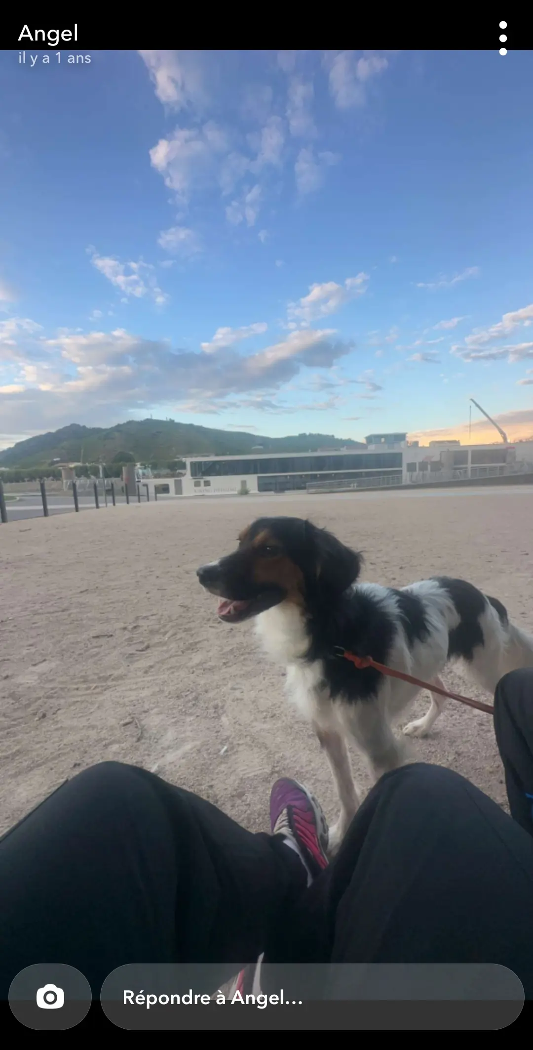 Chien Perdu Περιφερειακή Ενότητα Ικαρίας - Apache Chien Perdu Περιφερειακή Ενότητα Ικαρίας - Apache