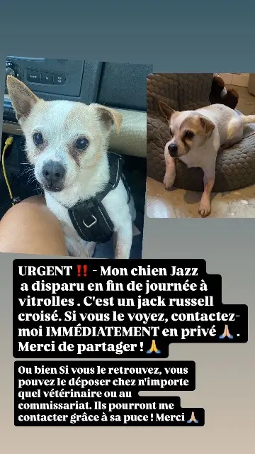 chien reunited   13127 Vitrolles Jazz