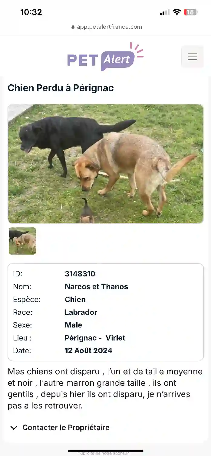 Chien Trouvé 17 Charente-Maritime - Narcos-et-thanos Chien Trouvé 17 Charente-Maritime - Narcos-et-thanos