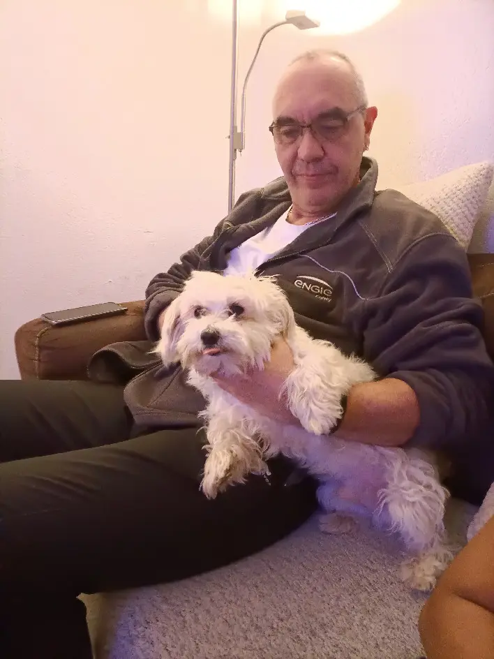 Chien Trouvé 30 Gard Nîmes Chien Trouvé 30 Gard Nîmes