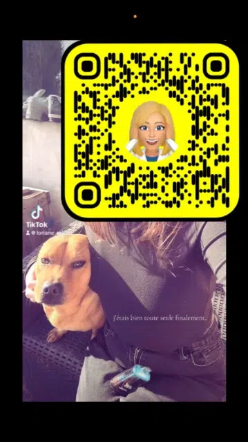 chien reunited   33230 Guîtres Oxo