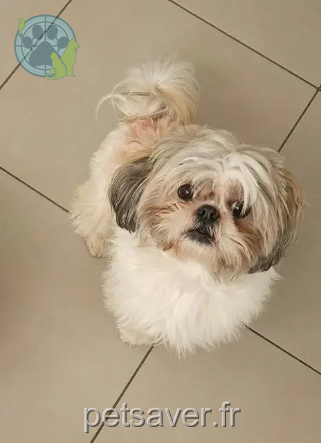 cane reunited 59192 Beuvrages Olaf