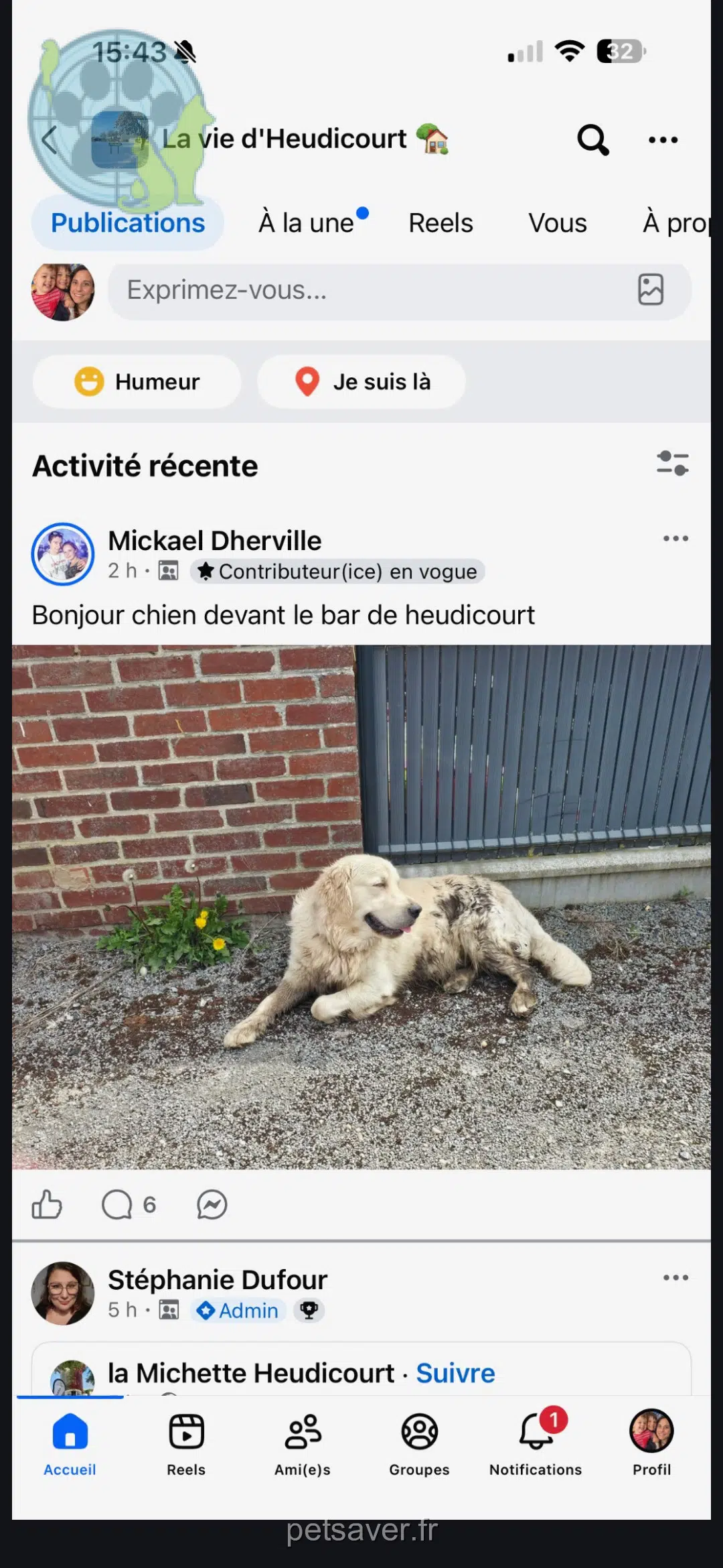 chien reunited   80240 Guyencourt-Saulcourt Tango