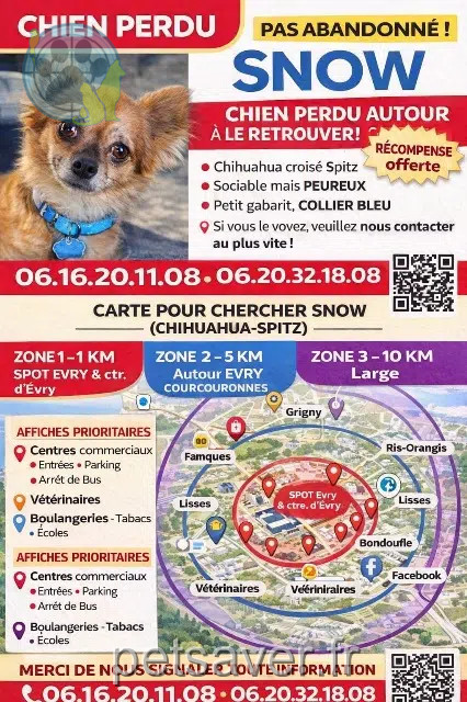 chien reunited    Évry-Courcouronnes Snow