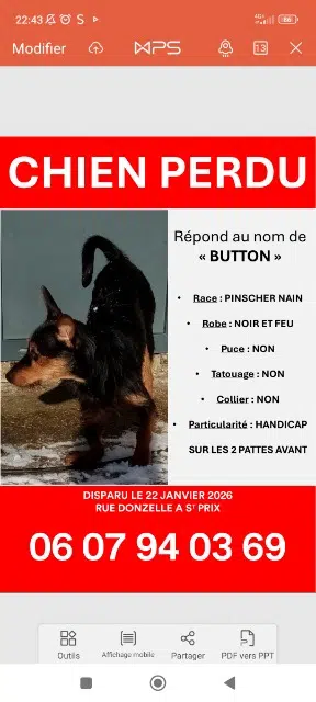 chien reunited   95390 Saint-Prix Button