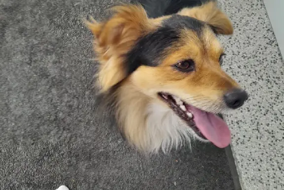 PT-17 Vila Real Vila Real PT-17 Vila Real Vila Real