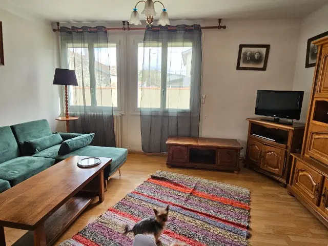 chienne lost   09600 Laroque-d'Olmes Radjah