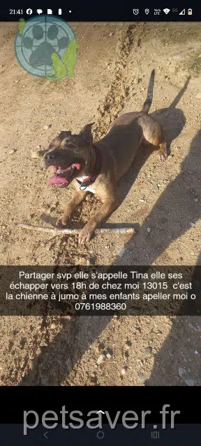teef lost    Marseille Tina