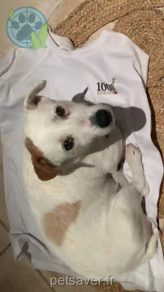 Chienne Perdue 26 Drôme - Ipsy Chienne Perdue 26 Drôme - Ipsy