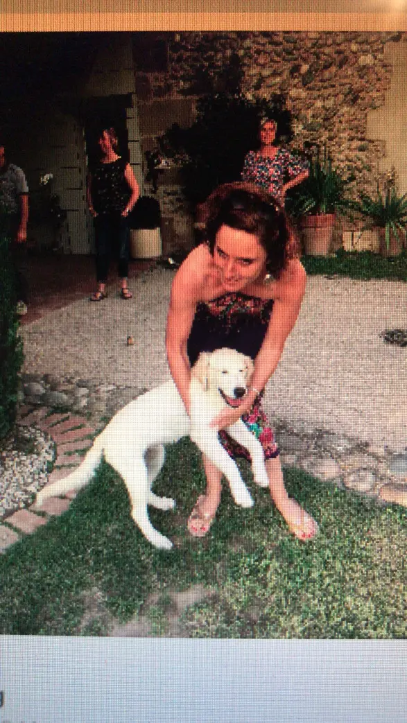 Chienne Perdue 26 Drôme - Ozi Chienne Perdue 26 Drôme - Ozi