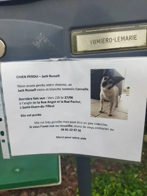 chienne lost   27670 Saint-Ouen-du-Tilleul Cannelle
