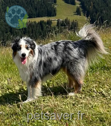Chienne Perdue 2A Corse-du-Sud Grosseto-Prugna Chienne Perdue 2A Corse-du-Sud Grosseto-Prugna
