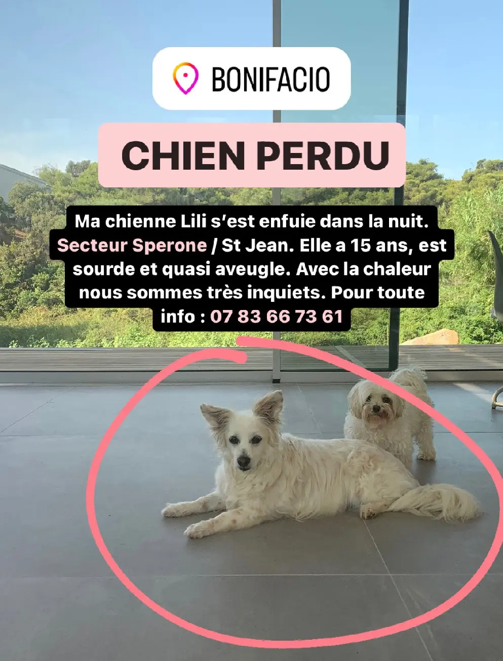 Chienne Perdue 2A Corse-du-Sud Chienne Perdue 2A Corse-du-Sud