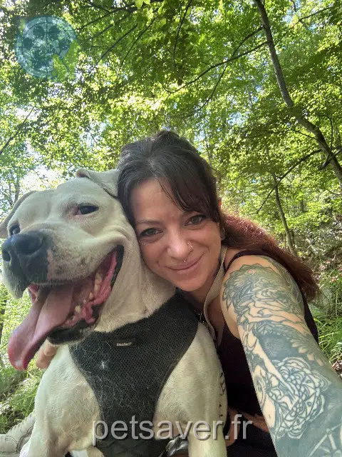 dog lost   31440 Arlos Lola