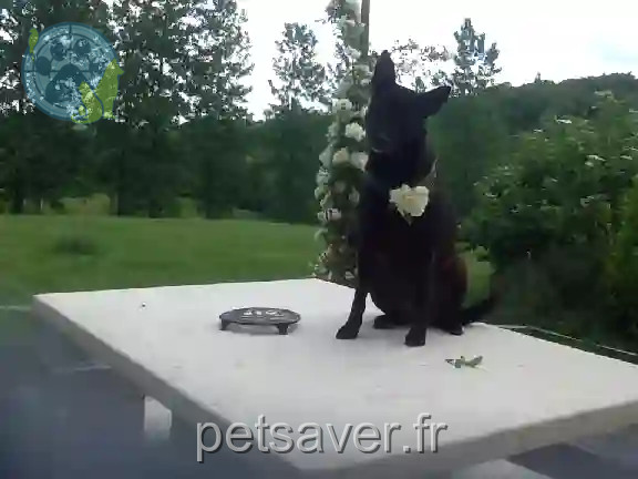 Chienne Perdue 32 Gers - Destinée Chienne Perdue 32 Gers - Destinée