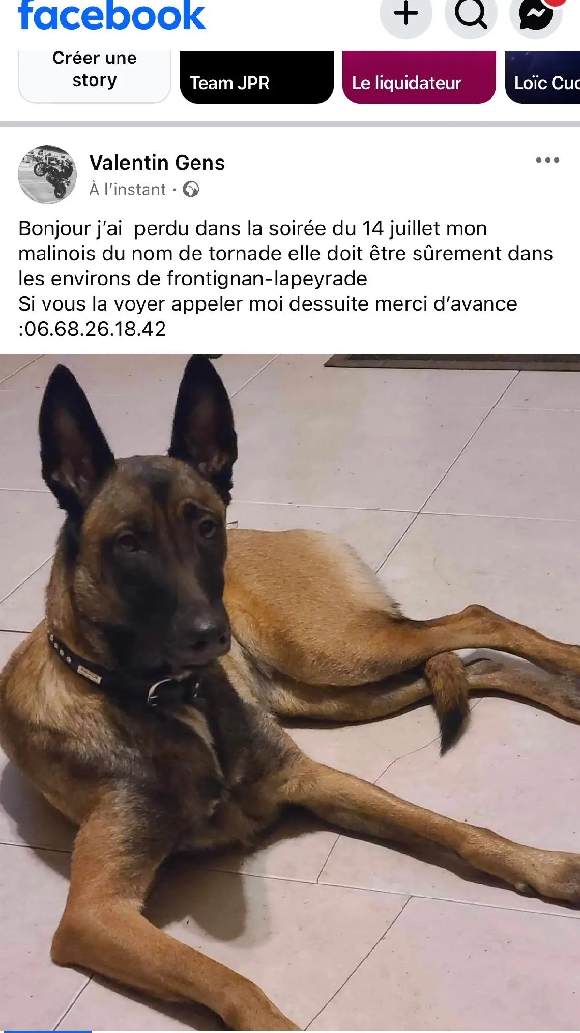 Chienne Perdue 34 Hérault Chienne Perdue 34 Hérault