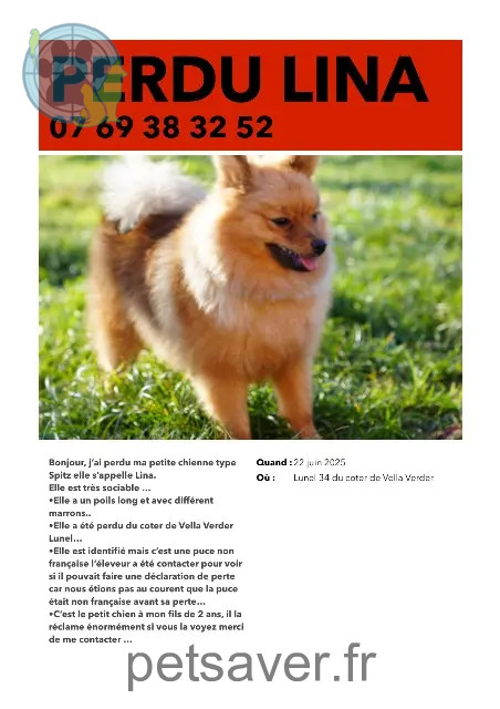dog lost 34400 Lunel Lina dog lost 34400 Lunel Lina