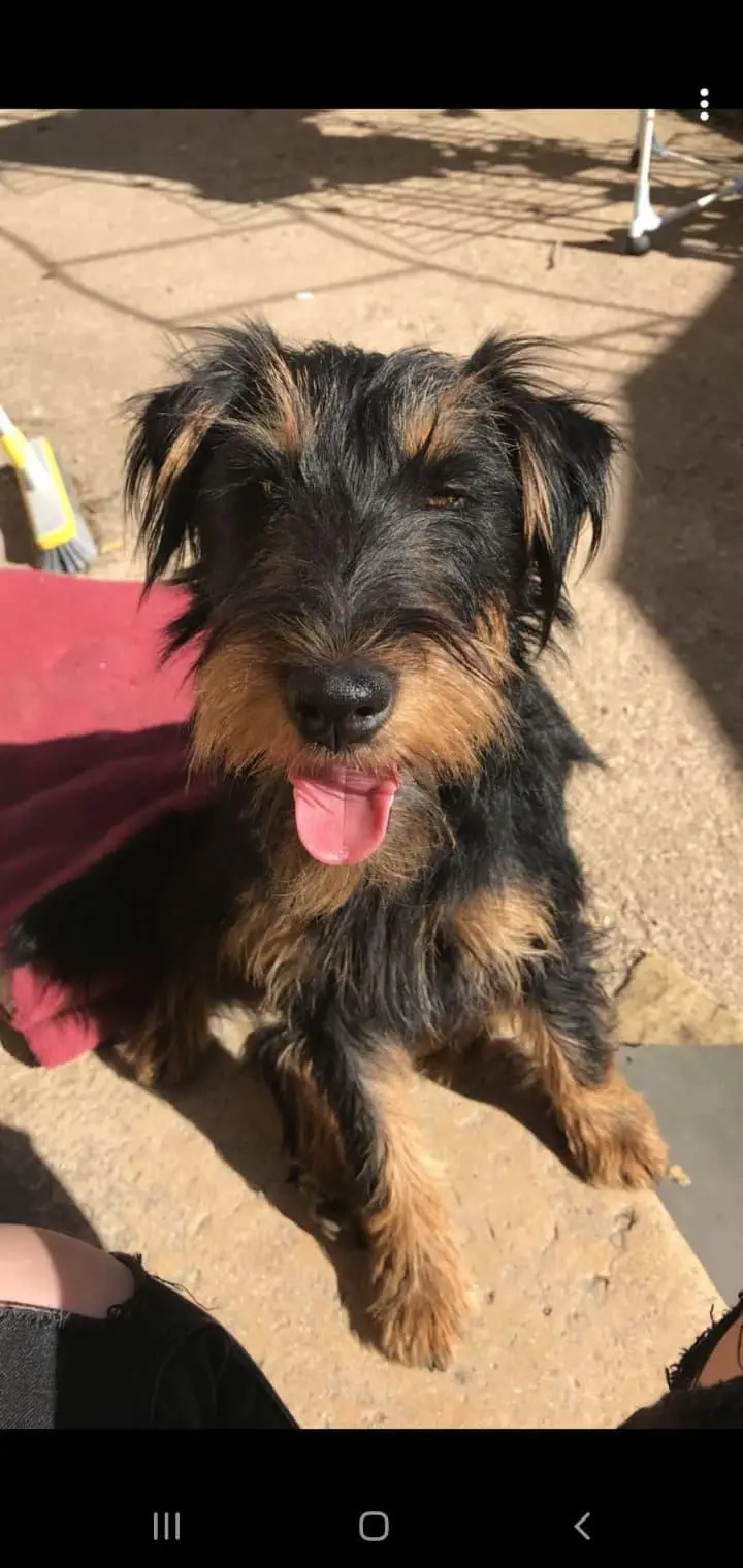 Chienne Perdue 36 Indre Chienne Perdue 36 Indre
