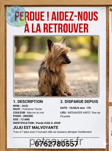 chienne lost 44522 Mésanger Juju