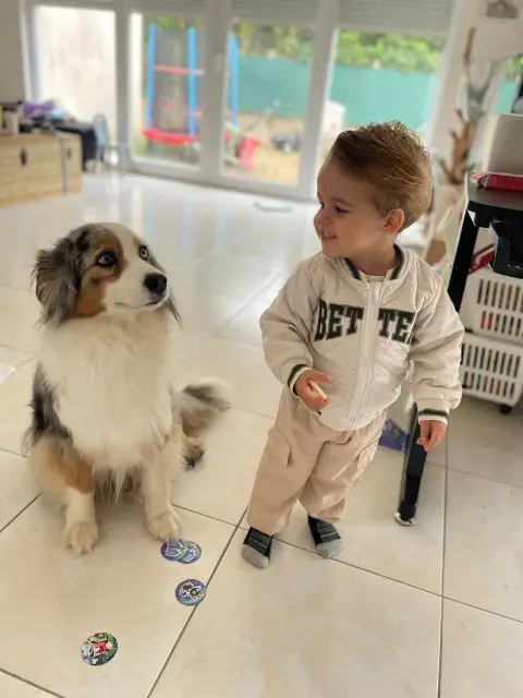 chienne lost   45290 Pressigny-les-Pins Joy