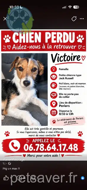 chienne lost 50190 Périers Victoire
