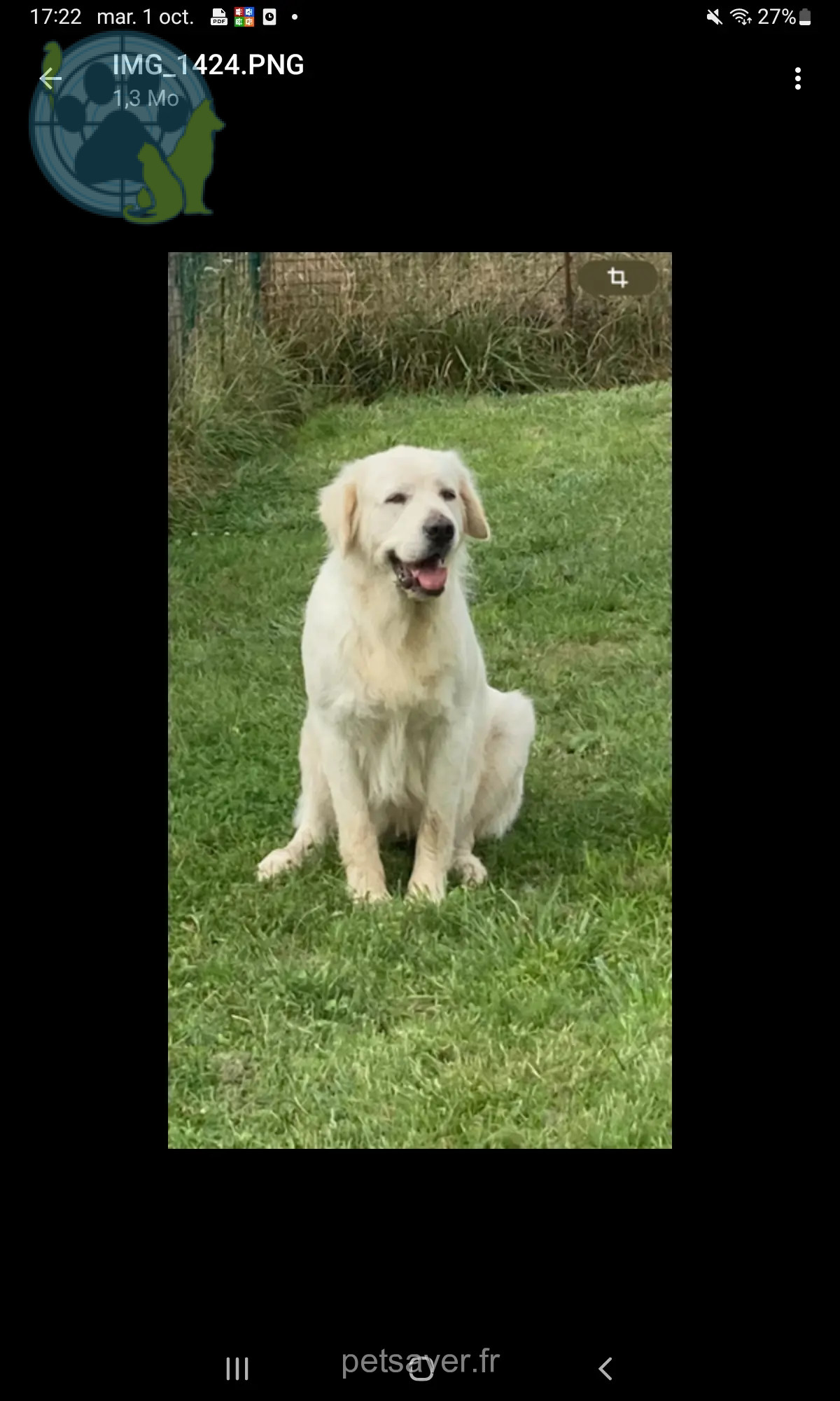 Chienne Perdue 57 Moselle Metz - Sunshine Chienne Perdue 57 Moselle Metz - Sunshine