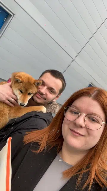 chienne lost   59136 Wavrin Alizée