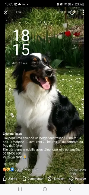 chienne lost   63870 Orcines Lismira