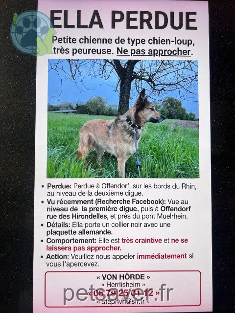 cadela lost   67850 Offendorf Ella
