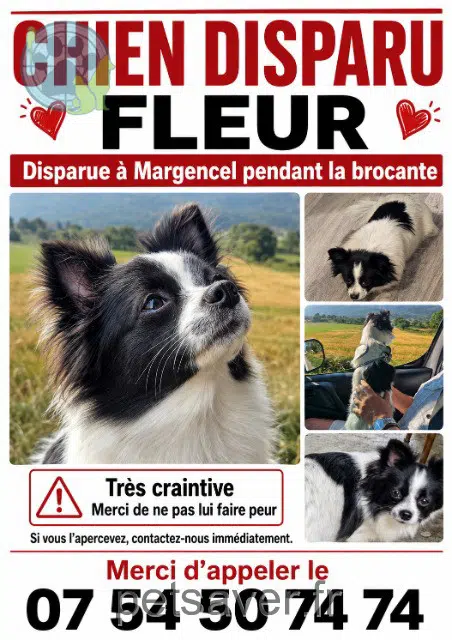 cagna lost 74200 Margencel Fleur