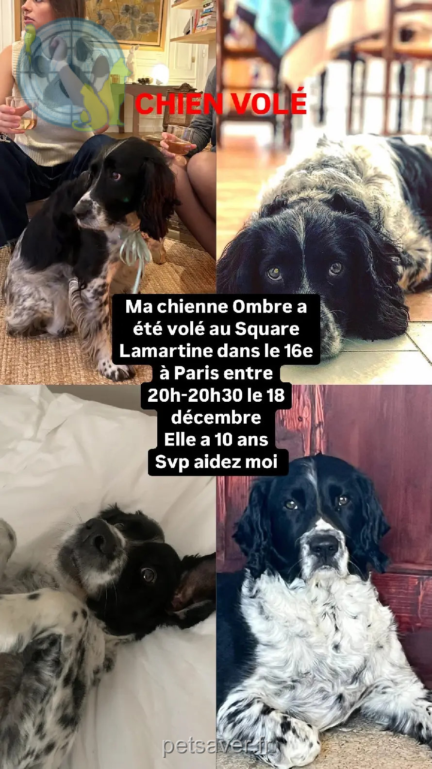 Chienne Perdue 75C Paris - Ombre-de-jaham Chienne Perdue 75C Paris - Ombre-de-jaham